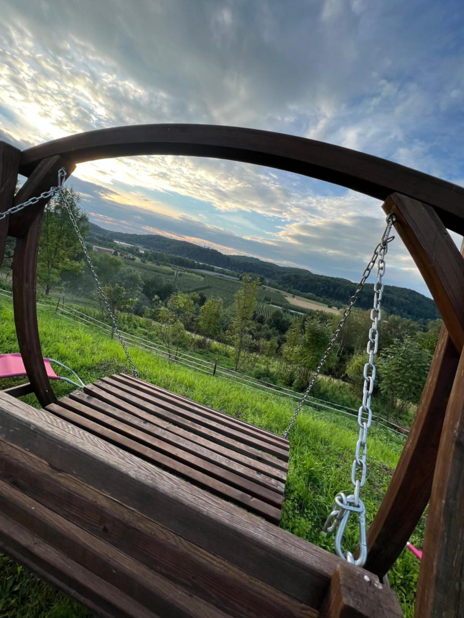 Einzigartiger Panoramablick, Bodensee Und Messe In Der Naehe テットナング エクステリア 写真