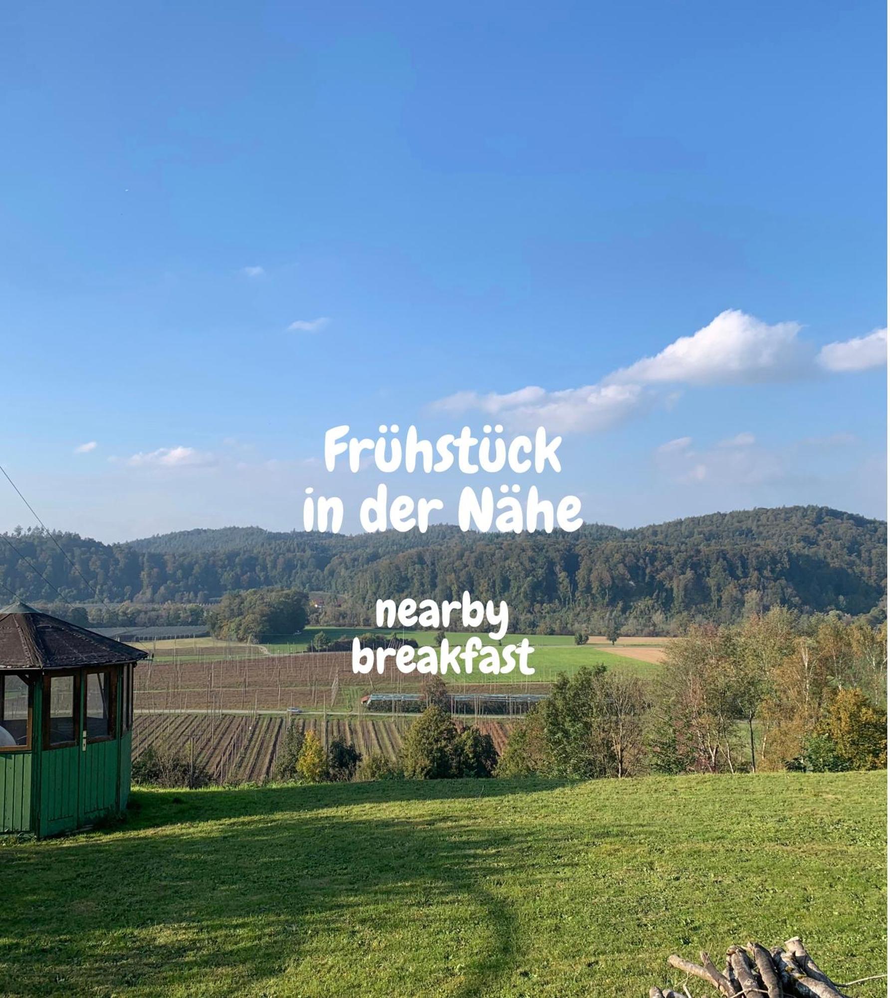 Einzigartiger Panoramablick, Bodensee Und Messe In Der Naehe テットナング エクステリア 写真